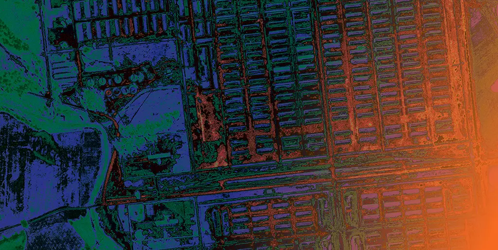 Immagine del concerto