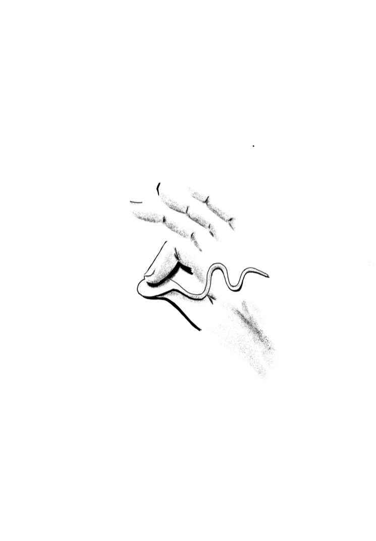 Illustrazione della scena PMA